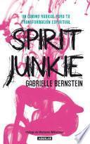 libro Spirit Junkie. Un Camino Radical Para Tu Transformación Espiritual