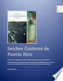 libro Seiches Costeros De Puerto Rico