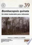 libro Bombacopsis Quinata
