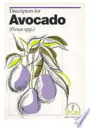 Descriptors For Avocado (persea Spp.).