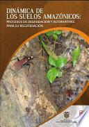 libro Dinámica De Suelos Amazónicos Procesos De Degradación Y Alternativas Para Su Recuperación