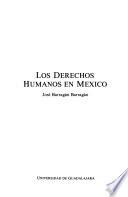 libro Los Derechos Humanos En México