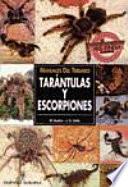 Manuales Del Terrario. Tarántulas Y Escorpiones
