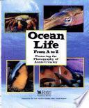 Ocean Life From A To Z