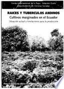 Raíces Y Tubérculos Andinos Cultivos Marginados En El Ecuador
