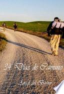 libro 34 Días De Camino