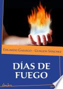 libro Días De Fuego