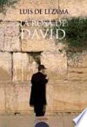 libro La Rosa De David
