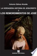 libro Los Remordimientos De José