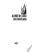 libro Allende En Llamas