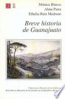 libro Breve Historia De Guanajuato