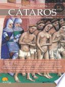 libro Breve Historia De Los Cátaros