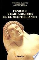 libro Fenicios Y Cartagineses En El Mediterráneo