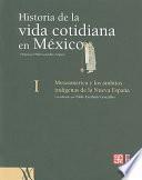 Historia De La Vida Cotidiana En México: Mesoamérica Y Los ámbitos Indígenas De La Nueva España