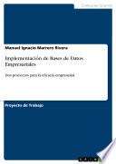 libro Implementación De Bases De Datos Empresariales