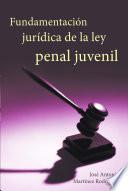 libro Fundamentacion Juridica De La Ley Penal Juvenil
