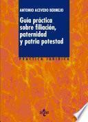 libro Guía Práctica Sobre Filiación, Paternidad Y Patria Potestad
