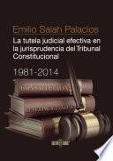 La Tutela Judicial Efectiva En La Jurisprudencia Del Tribunal Constitucional. 1981 2014