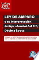 libro Nueva Ley De Amparo (2014)