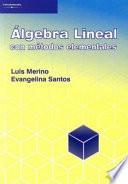 libro Álgebra Lineal Con Métodos Elementales