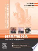 Dermatología De Pequeños Animales