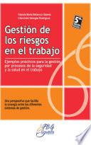 libro Gestión De Los Riegos En El Trabajo