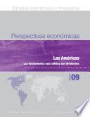 libro Perspectivas Económicas, Mayo 2009