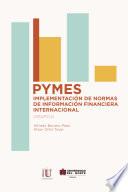 libro Pymes: Implementación De Normas De Información Financiera Internacional