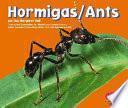 libro Ants