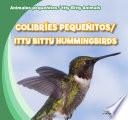 Colibres Pequeitos / Itty Bitty Hummingbirds