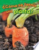 ¿cómo Se Forma Una Planta? (what Makes A Plant?)
