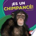 ¡es Un Chimpancé! (it S A Chimpanzee!)