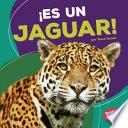 ¡es Un Jaguar! (it S A Jaguar!)