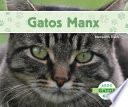 Gatos Manx