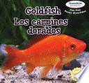 Goldfish / Los Carpines Dorados