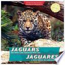 Jaguares Y Otros Felinos De Latinoamérica