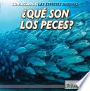 ¿qué Son Los Peces? (what Are Fish?)