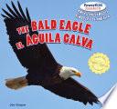 The Bald Eagle / El Guila Calva