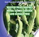 libro Watch Peas Grow / ¡mira Cómo Crecen Los Guisantes!
