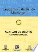 libro Acatlán De Osorio Estado De Puebla. Cuaderno Estadístico Municipal 1996