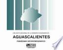 libro Aguascalientes. Encuesta Nacional De La Dinámica Demográfica. Panorama Sociodemográfico