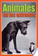 Animales En Los Extremos