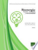 libro Bioenergía: Fuentes, Conversión Y Sustentabilidad