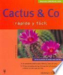 libro Cactus & Co