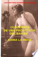 Cuadernos De Una Prostituta Del Bar De Juana La India