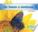 De Huevo A Mariposa (becoming A Butterfly)