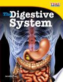 El Sistema Digestivo (the Digestive System)
