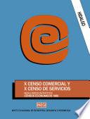 libro Hidalgo. X Censo Comercial Y X Censo De Servicios. Resultados Definitivos. Censo Económicos, 1989