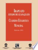 libro Irapuato Estado De Guanajuato. Cuaderno Estadístico Municipal 1993