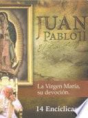 libro Juan Pablo Ii, El Papa Peregrino